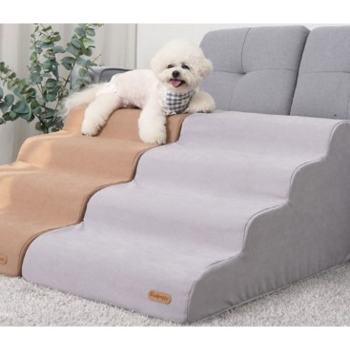 편안한 이동을 위한 최적의 선택