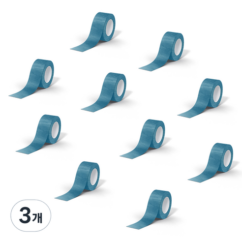 데이바이데이 바른생활이야기 밴드 2.5cm x 4.5m 블루, 3개, 10개입