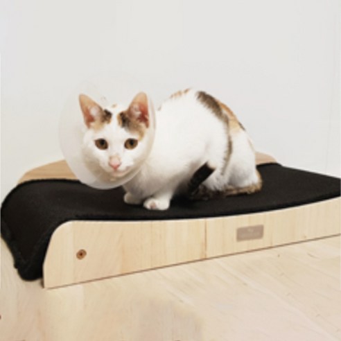 피카노리 카페트 소파 원목 고양이 평판형 스크래쳐, 블랙(PECA3632), 1개