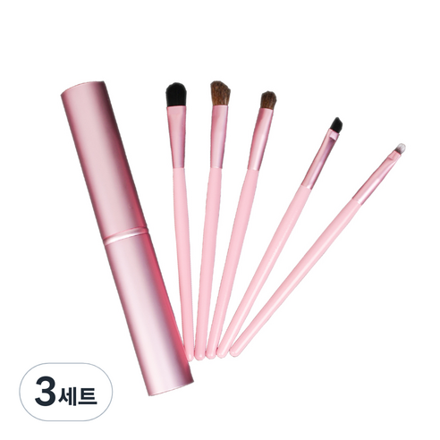 데이러빗 메이크업 브러쉬 5종 + 쉘 케이스 세트, 핑크, 3세트