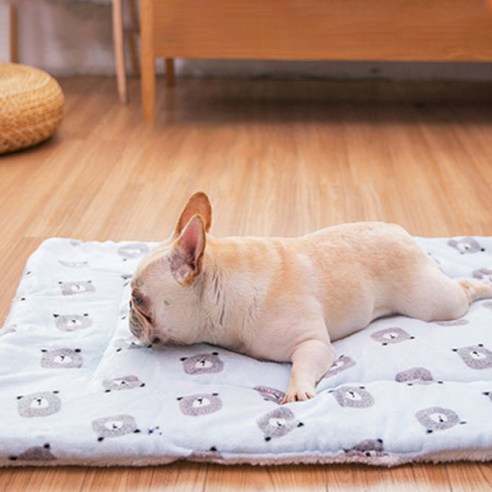 알럽펫 사계절 플란넬 반려동물 둥지매트, 곰