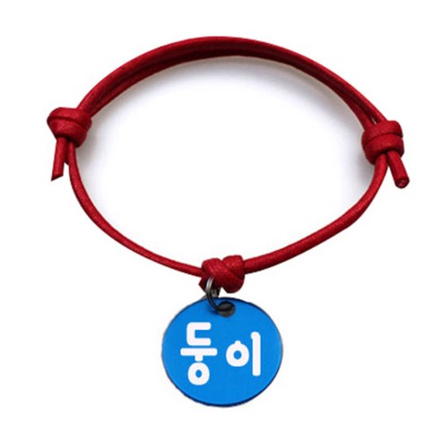 펫츠룩 굿모닝 레드 반려동물 목걸이 M + 알미늄원형 팬던트 M, 블루(둥이), 1개