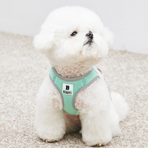 베니즈 베이직 하네스, 민트, L