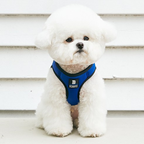 베니즈 베이직 하네스, 블루