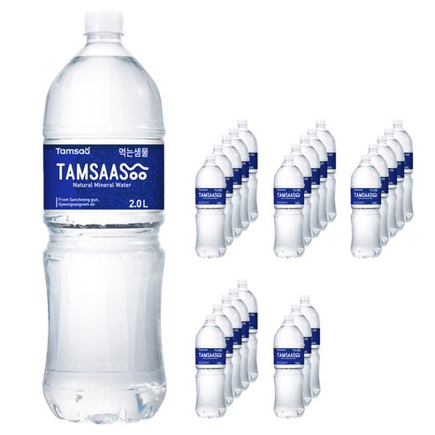 탐사수, 2L, 24개