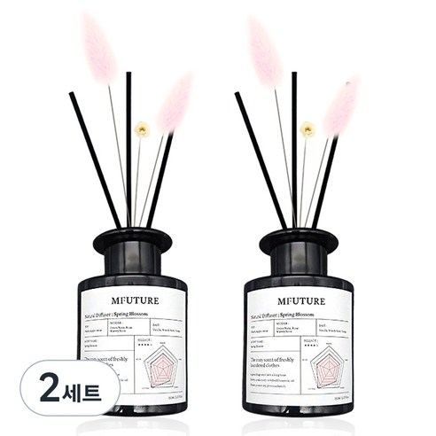 엠퓨처 프리미엄 화장실 실내 방향제 디퓨저 150ml + 리드꽃 랜덤발송 2p 세트, 2세트, 스프링블라썸