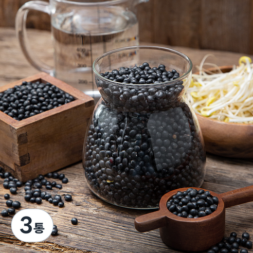 대구농산 검은콩 콩나물콩 약콩, 1.1kg, 3통
