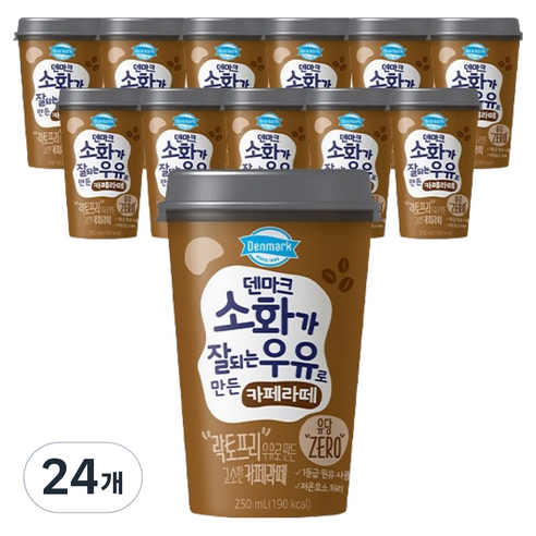 덴마크 소화가 잘되는 우유로 만든 카페라떼, 250ml, 24개