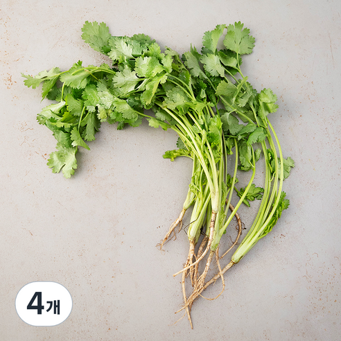 국내산 고수, 50g, 4개