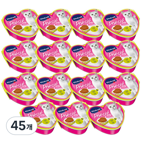 비타크래프트 성묘용 포에시 하트캔 고양이 주식 파우치, 85g, 45개