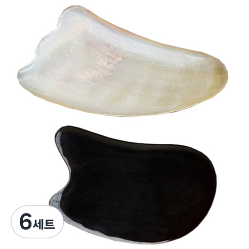 헬스플러스 괄사 패키지 BJ-05B + BJ-6015, 6세트, 혼합 색상