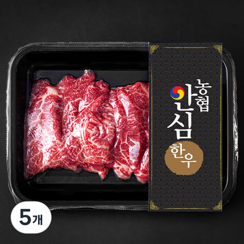 농협안심한우 살치살 1등급 구이용 (냉장), 200g, 5개