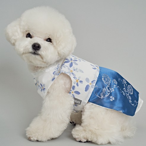 도그아이 강아지옷 애견의류 꽃한복, 블루