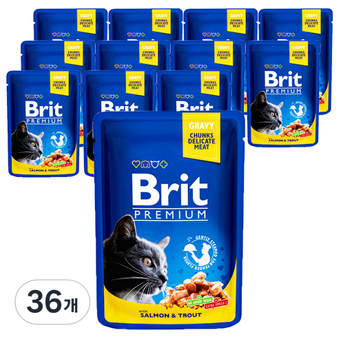 브리트 고양이 프리미엄 주식파우치 연어 & 송어, 닭, 100g, 36개