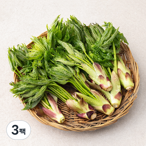 국내산 개두릅, 150g, 3팩