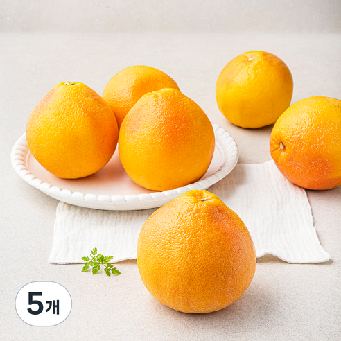 곰곰 이스라엘산 주스용 자몽, 5개, 2kg