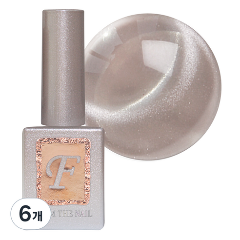 프롬더네일 MAGNET 젤네일, 10g, FG 221, 6개