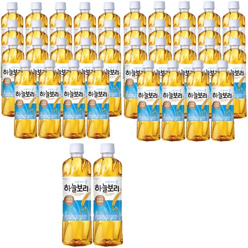 웅진 하늘보리, 500ml, 40개