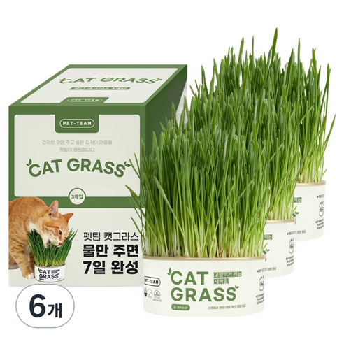 펫팀 고양이 캣그라스, 새싹밀, 6개