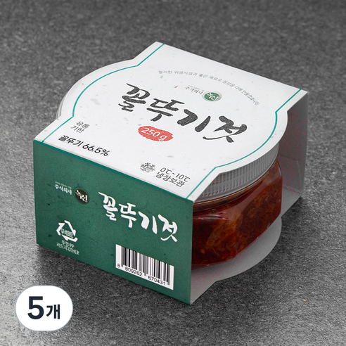 녹선 꼴뚜기젓, 250g, 5개