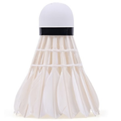 강산연 501, 배드민턴 실력, 장비빨 제대로 받자!