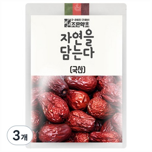 조은약초 자연을 담는다 대추, 700g, 3개