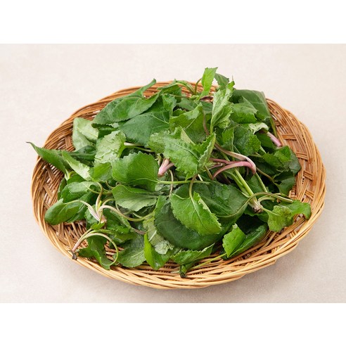 향긋한 봄 내음 가득, 밥상 위의 싱그러운 행복