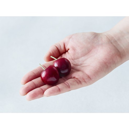 집에서 즐기는 신선한 미국 다크체리, 항공직송으로 맛보세요!