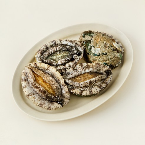 완도맘 활전복 (냉장), 500g 내외(왕특, 4마리), 1개