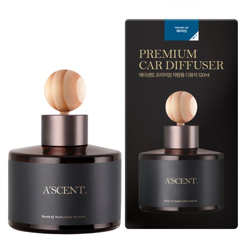 에이센트 차량용 네이처 디퓨저, 에어리던, 120ml, 1개