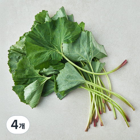 남해 머위, 80g, 4개