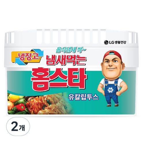 냄새먹는 홈스타 냉장고용 탈취제 유칼립투스, 420g, 2개