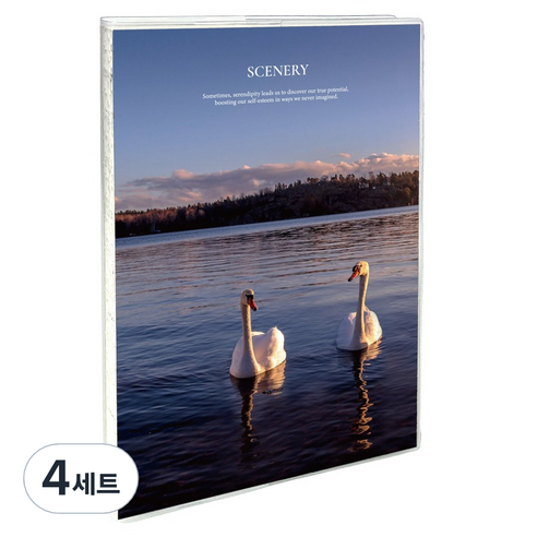 리코즈 A5 시너리 포토 모눈 노트 + PVC 커버 세트, 02 스완(노트), 4세트