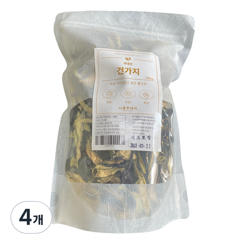 나물투데이 건가지, 100g, 4개