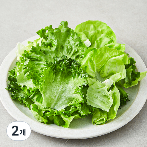 친환경 유러피안 모둠 샐러드용 채소, 2개, 1개입