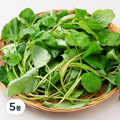 국내산 산취나물, 150g, 5개