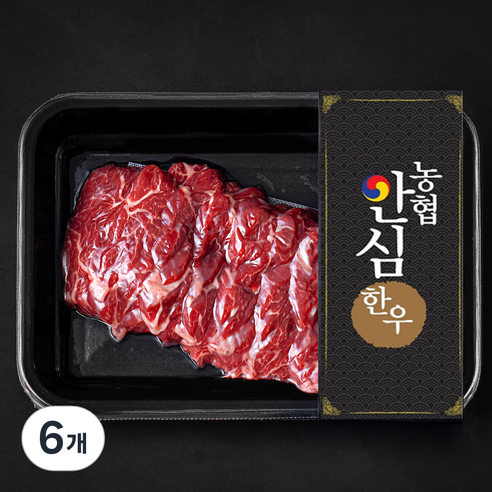 농협안심한우 치마살 1등급 구이용 (냉장), 200g, 6개