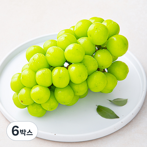 산지직송 아주마 비파괴 당도 선별 영동 상주산 샤인머스켓, 600g, 6박스