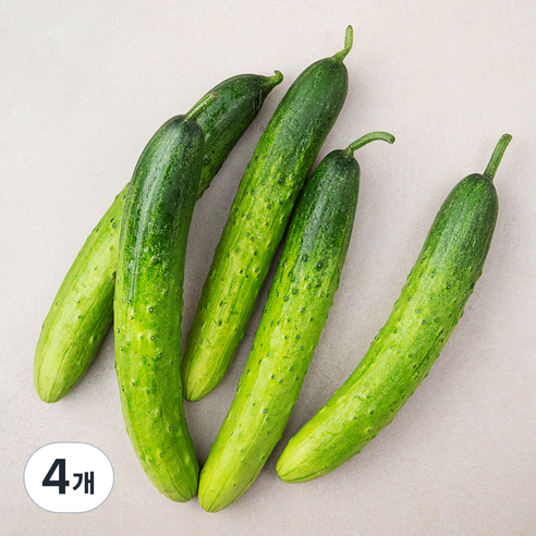 국내산 친환경 오이, 5개입, 4개