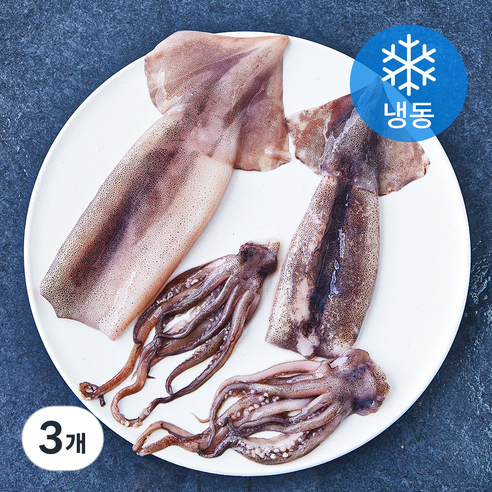 깨끗한 손질 통오징어 (냉동), 270g(2미), 3개