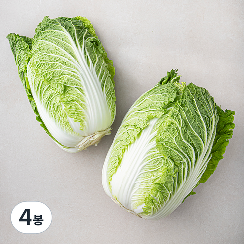 곰곰 국내산 배추, 2개입, 4봉