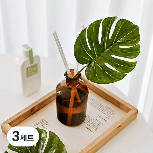 노디자인 몬스테라 플라워 디퓨저 선물세트, 플라워하우스, 150ml, 3세트
