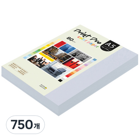 종이문화 프린트 프로 칼라 복사용지 No 19 미스티블루 80g, A5, 750개