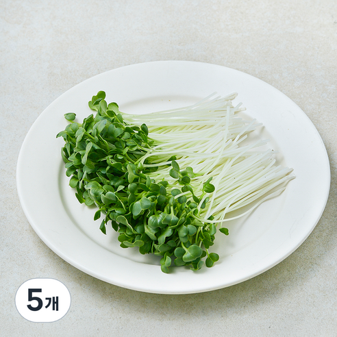 친환경 무순, 5개, 30g