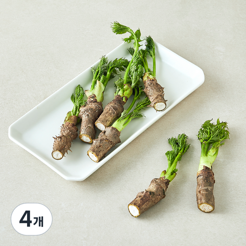 참두릅, 4개, 150g