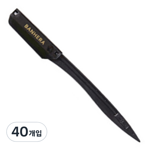 반해라 프로패셔널 면도 눈썹칼 안전캡미착용, 블랙, 40개