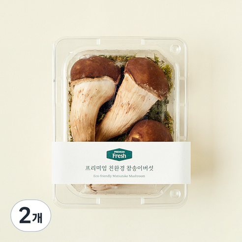 프리미엄 친환경 참송이버섯, 100g, 2개