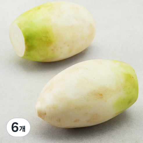 제주 세척 무, 1개입, 6개