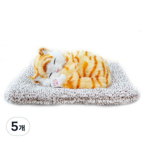 어바인클래스 잠자는 뭉뭉이와냥냥이 제습인형 아메리칸숏, 5개