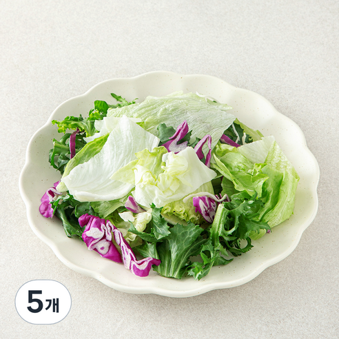 데일리 베이직 믹스 파우치 샐러드 채소, 80g, 5개, 1개입